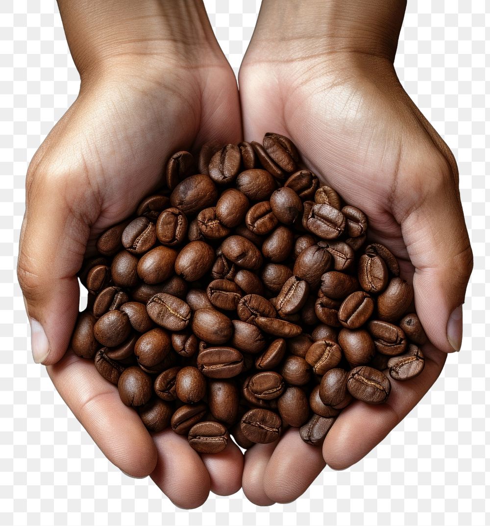 PNG Coffee hand coffee beans refreshment transparent background