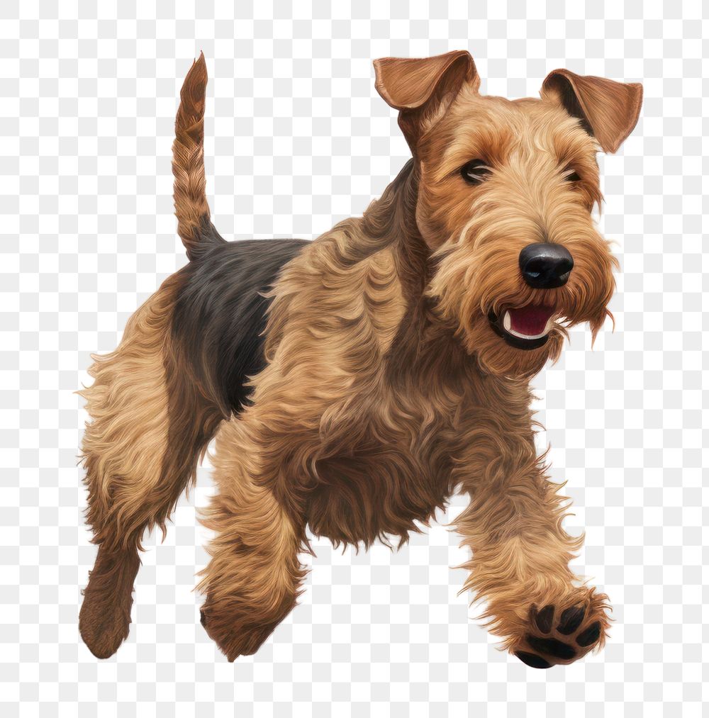 PNG Terrier animal mammal dog. AI generated Image by rawpixel.