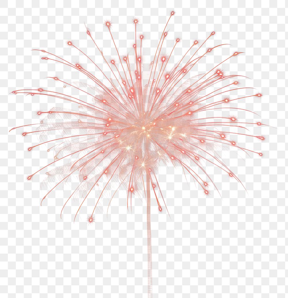 PNG Fireworks plant illuminated celebration. AI generated Image by rawpixel.