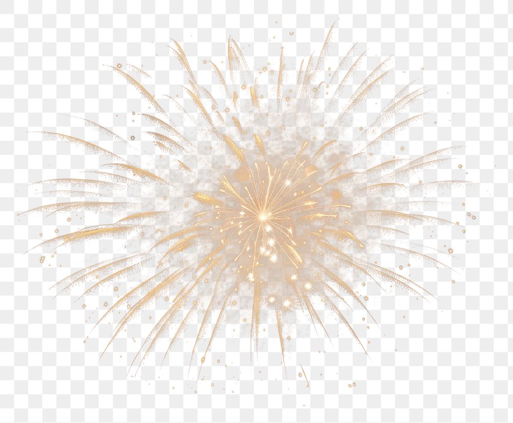 PNG Fireworks invertebrate illuminated celebration. 