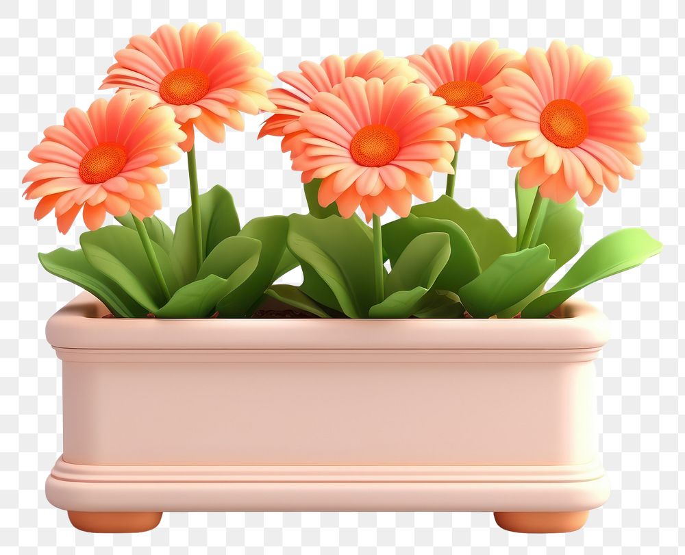PNG Flower plant petal daisy. AI generated Image by rawpixel.