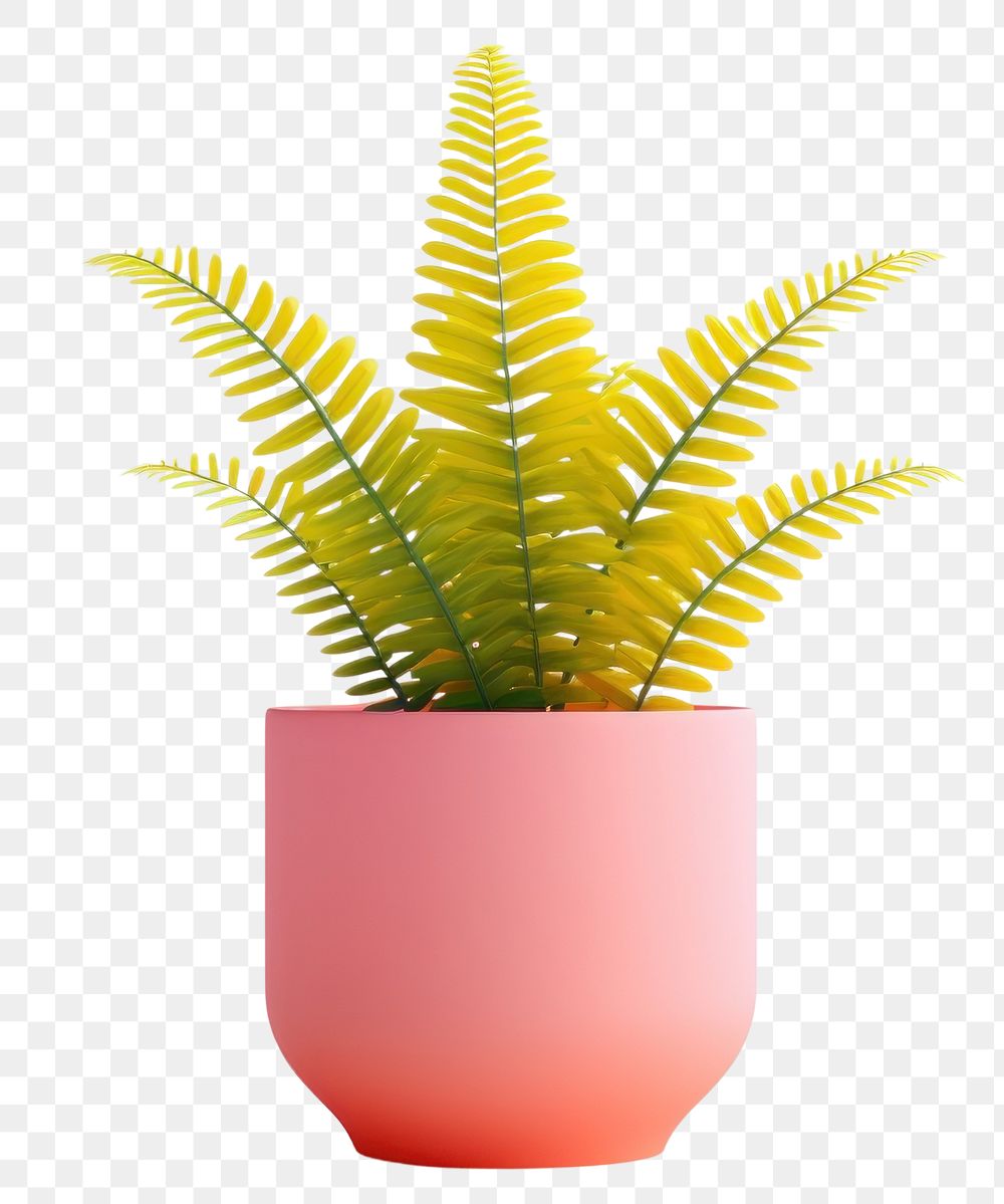 PNG Plant leaf vase fern. AI generated Image by rawpixel.