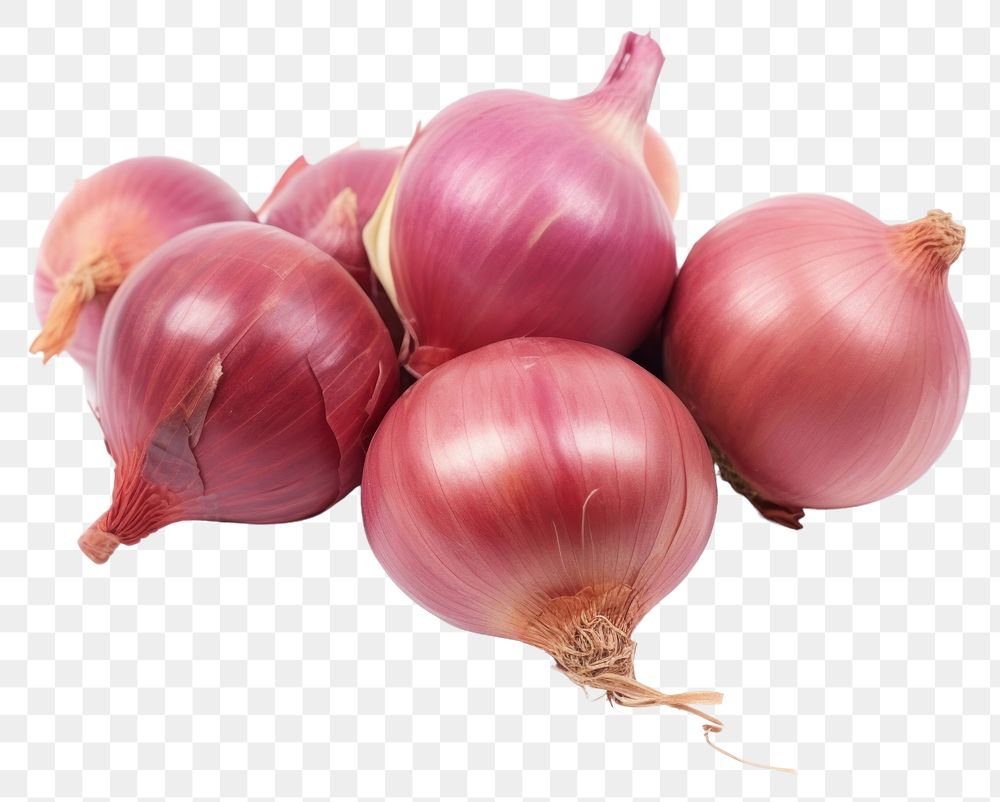 PNG Onion vegetable shallot plant. AI generated Image by rawpixel.