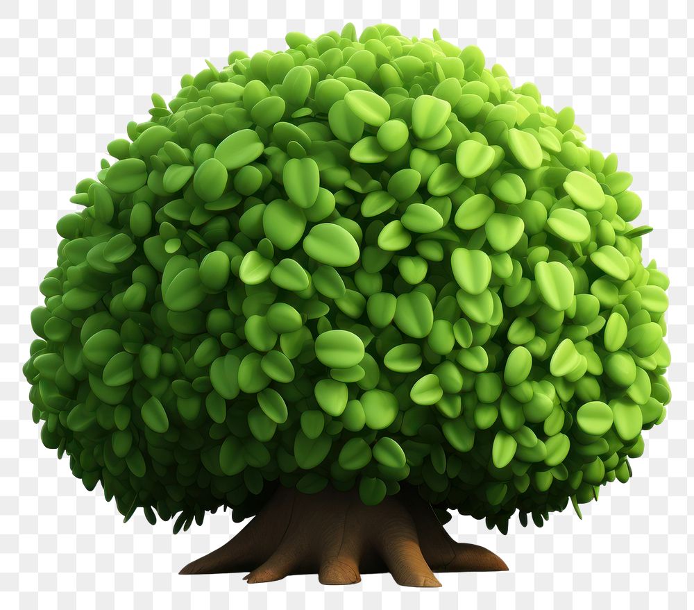 PNG Plant green tree white background. AI generated Image by rawpixel.