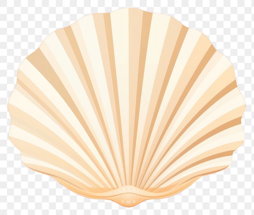 PNG Seashell clam invertebrate accessories. AI generated Image by rawpixel.