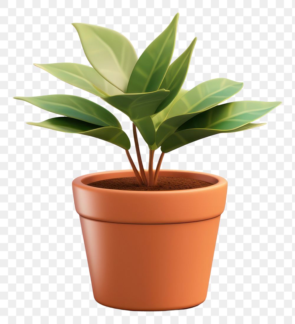 PNG  Plant leaf pot white background. AI generated Image by rawpixel.