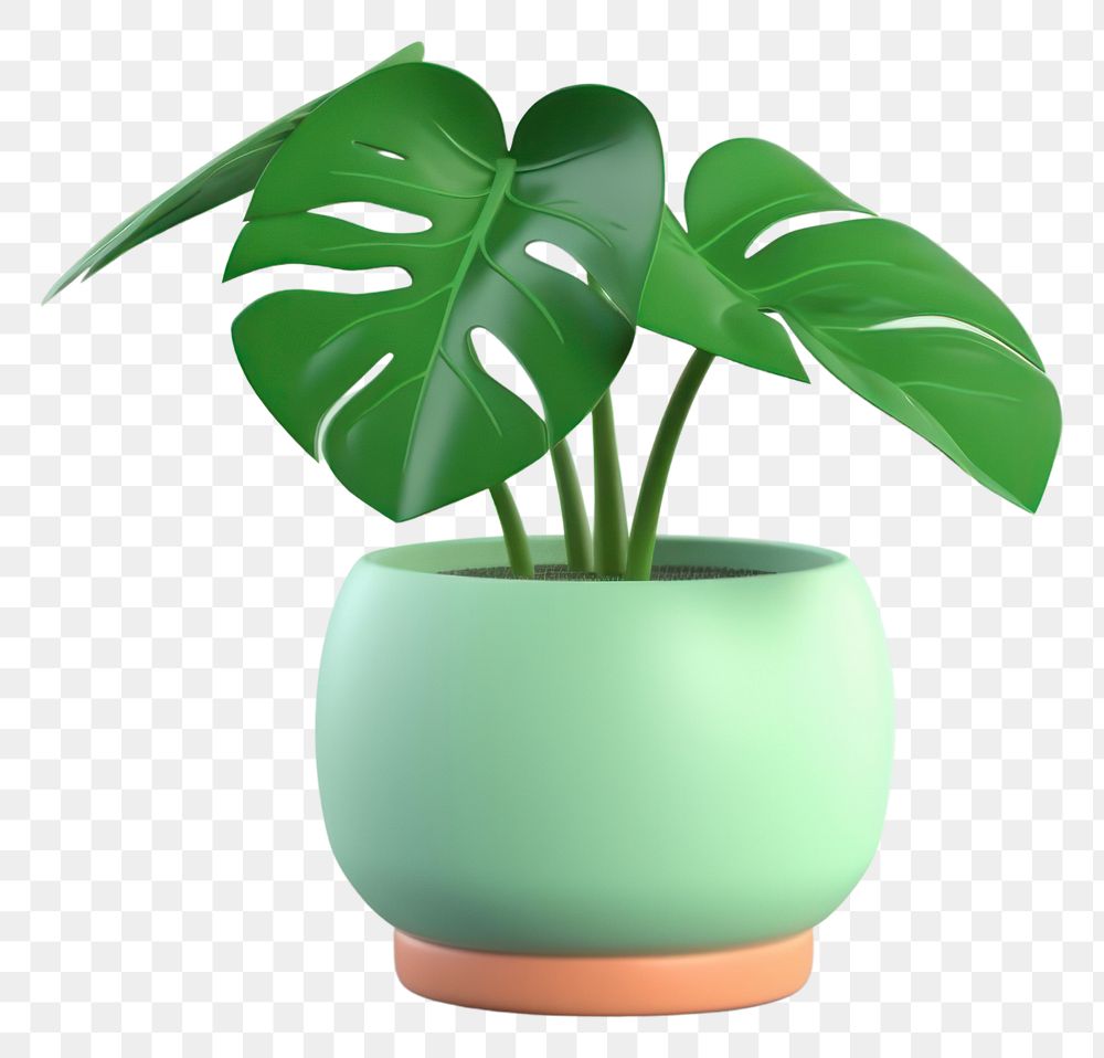 PNG Plant leaf vase houseplant. 