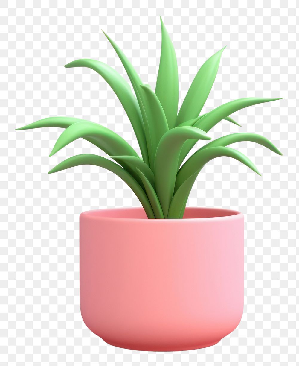 PNG Plant aloe vase transparent background. 