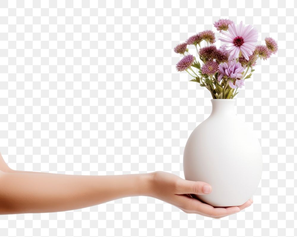 PNG Flower vase holding plant. 