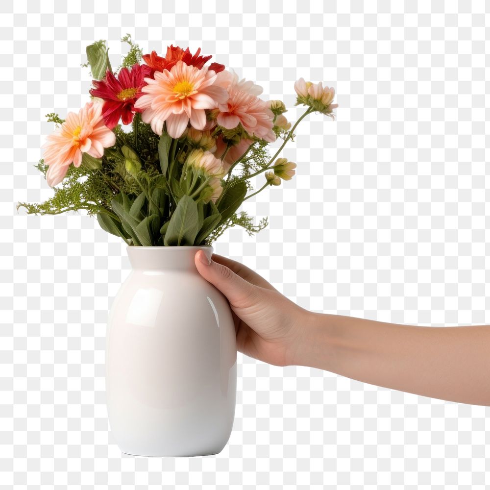 PNG Flower vase holding plant. 