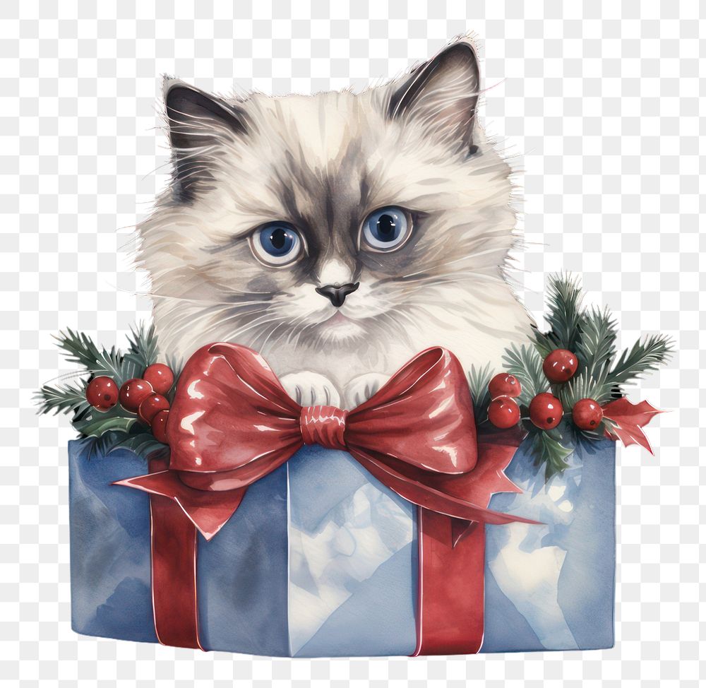 PNG Christmas animal mammal kitten. AI generated Image by rawpixel.