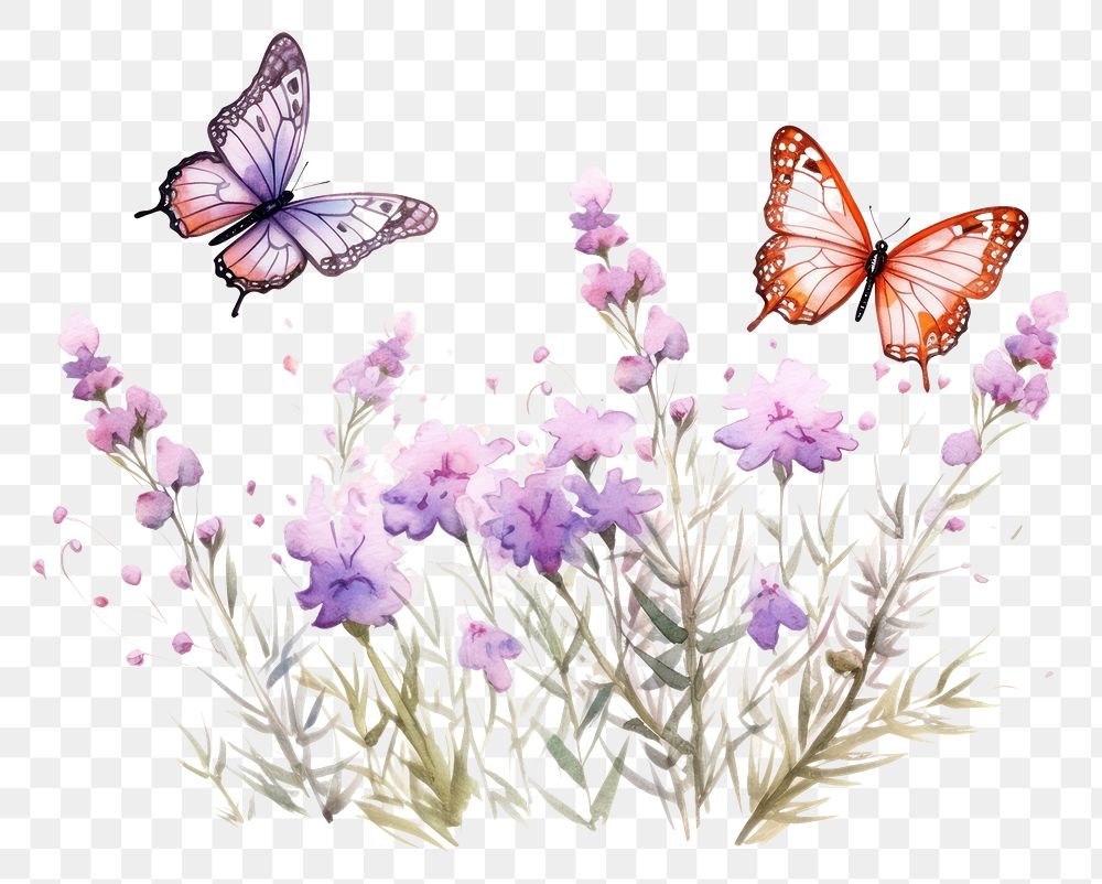 PNG  Butterfly lavender drawing flower. AI generated Image by rawpixel.