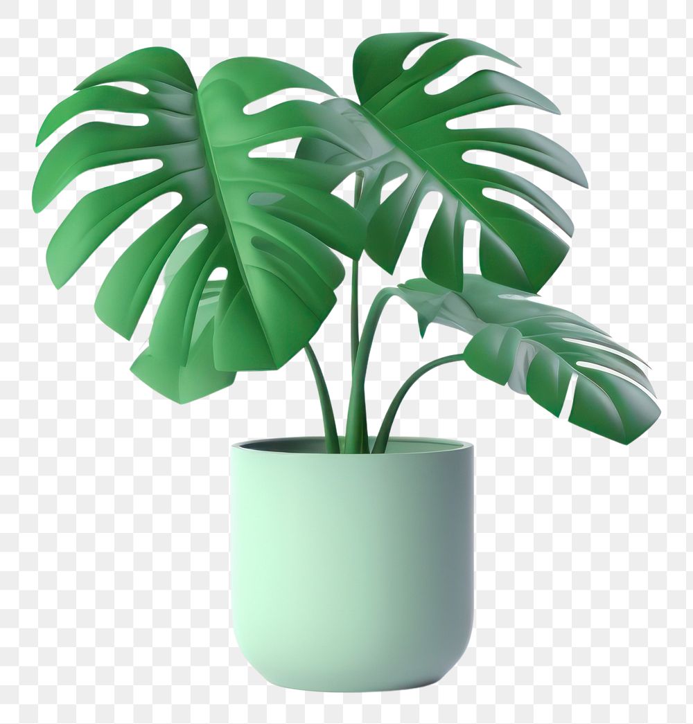 PNG Plant leaf white background houseplant. AI generated Image by rawpixel.