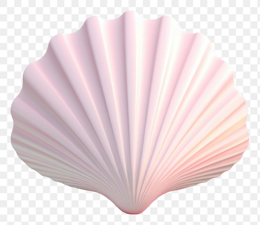 PNG Shell clam invertebrate simplicity. AI generated Image by rawpixel.