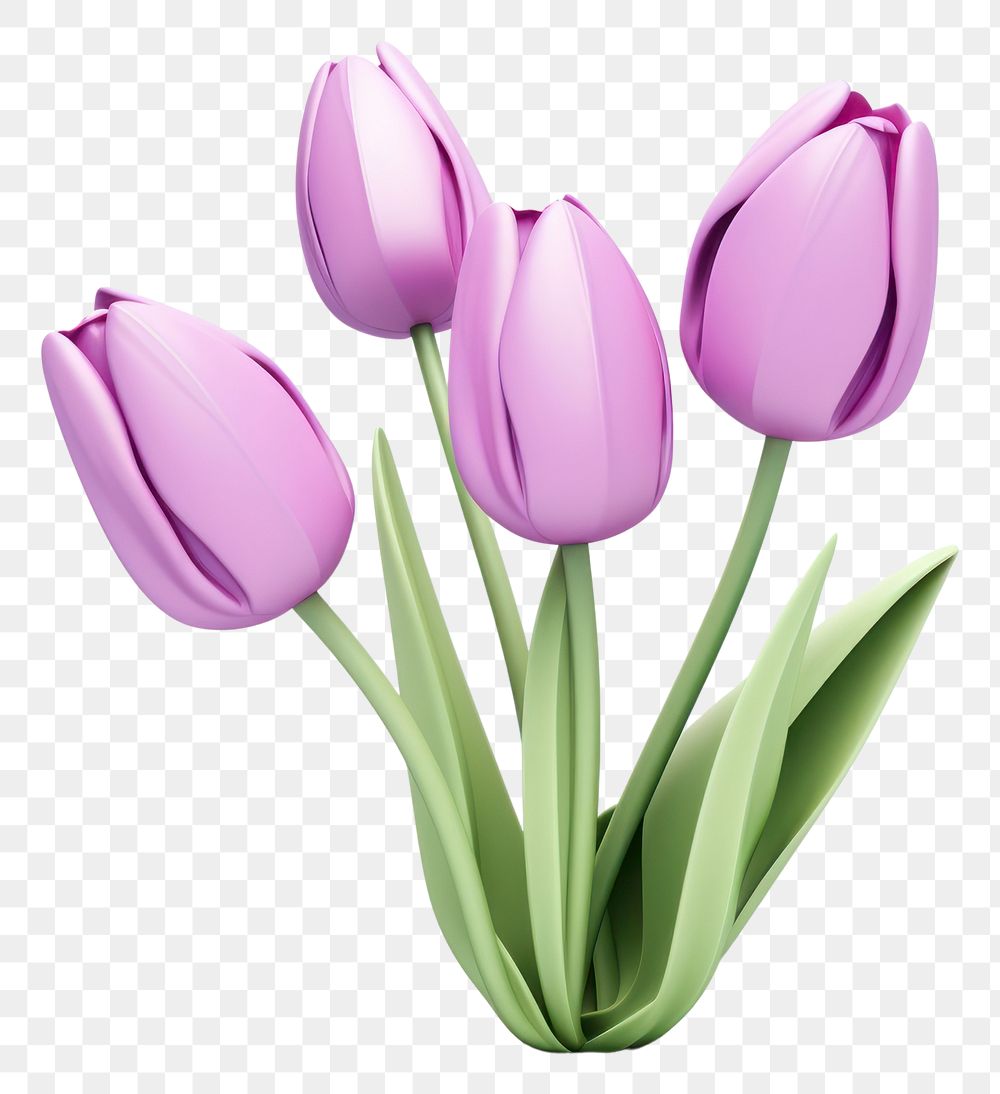 PNG Tulip blossom flower purple. AI generated Image by rawpixel.