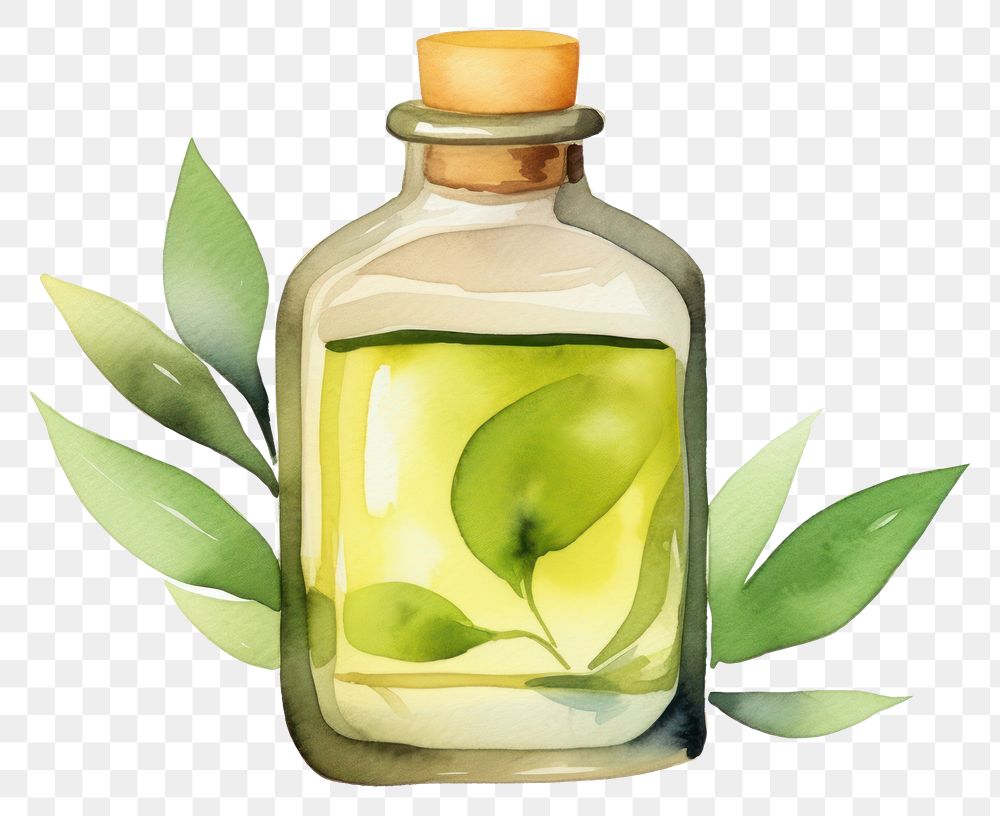 PNG Bottle plant transparent background container. AI generated Image by rawpixel.