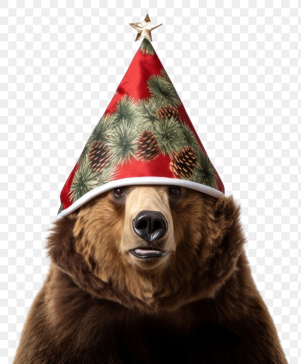 PNG Christmas mammal animal bear. AI generated Image by rawpixel.