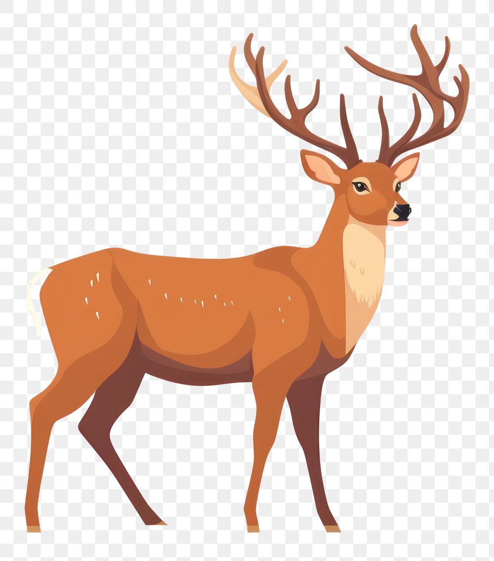 PNG  Wildlife animal antler mammal. AI generated Image by rawpixel.