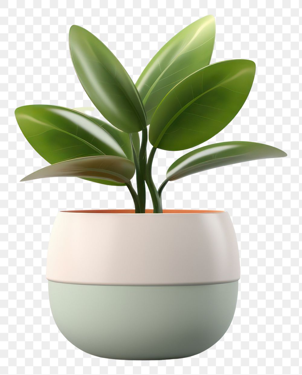 PNG Plant vase leaf  