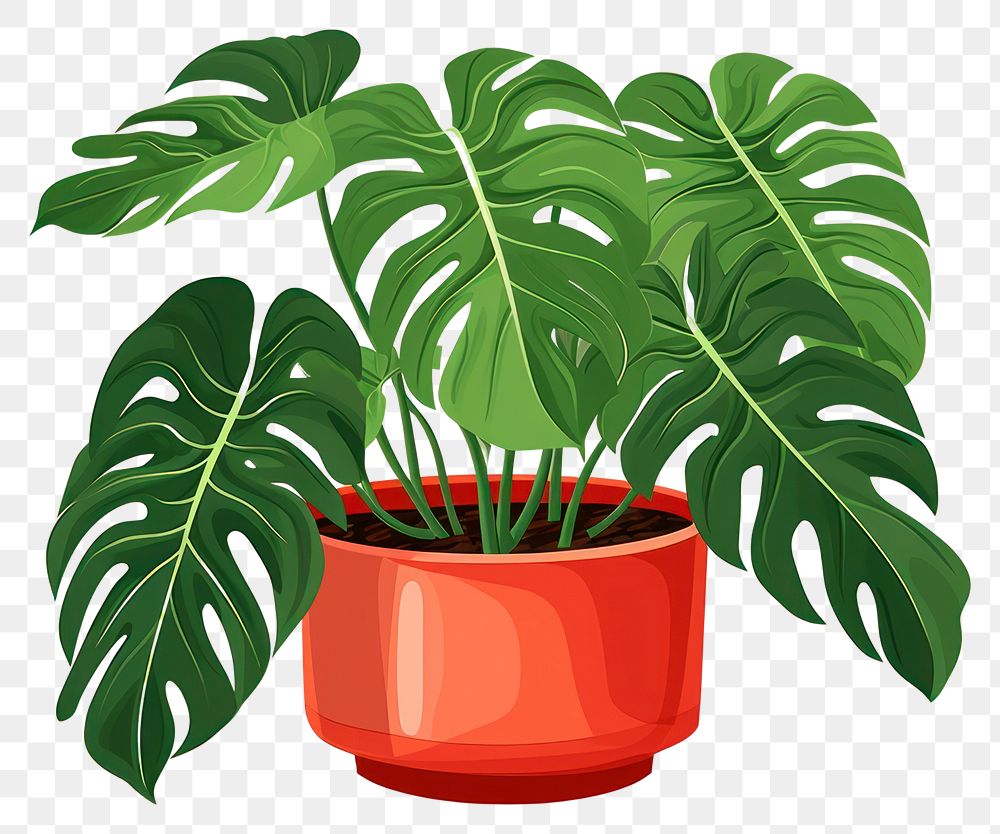 PNG Plant leaf potted plant houseplant transparent background