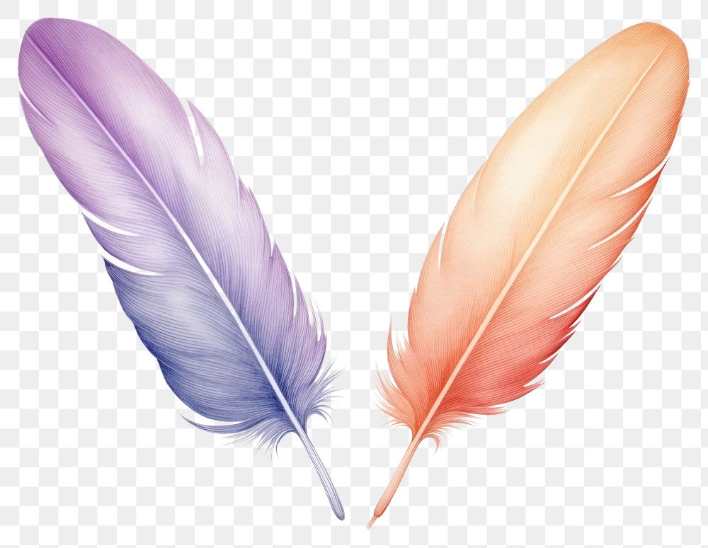 PNG Feather lightweight creativity transparent background