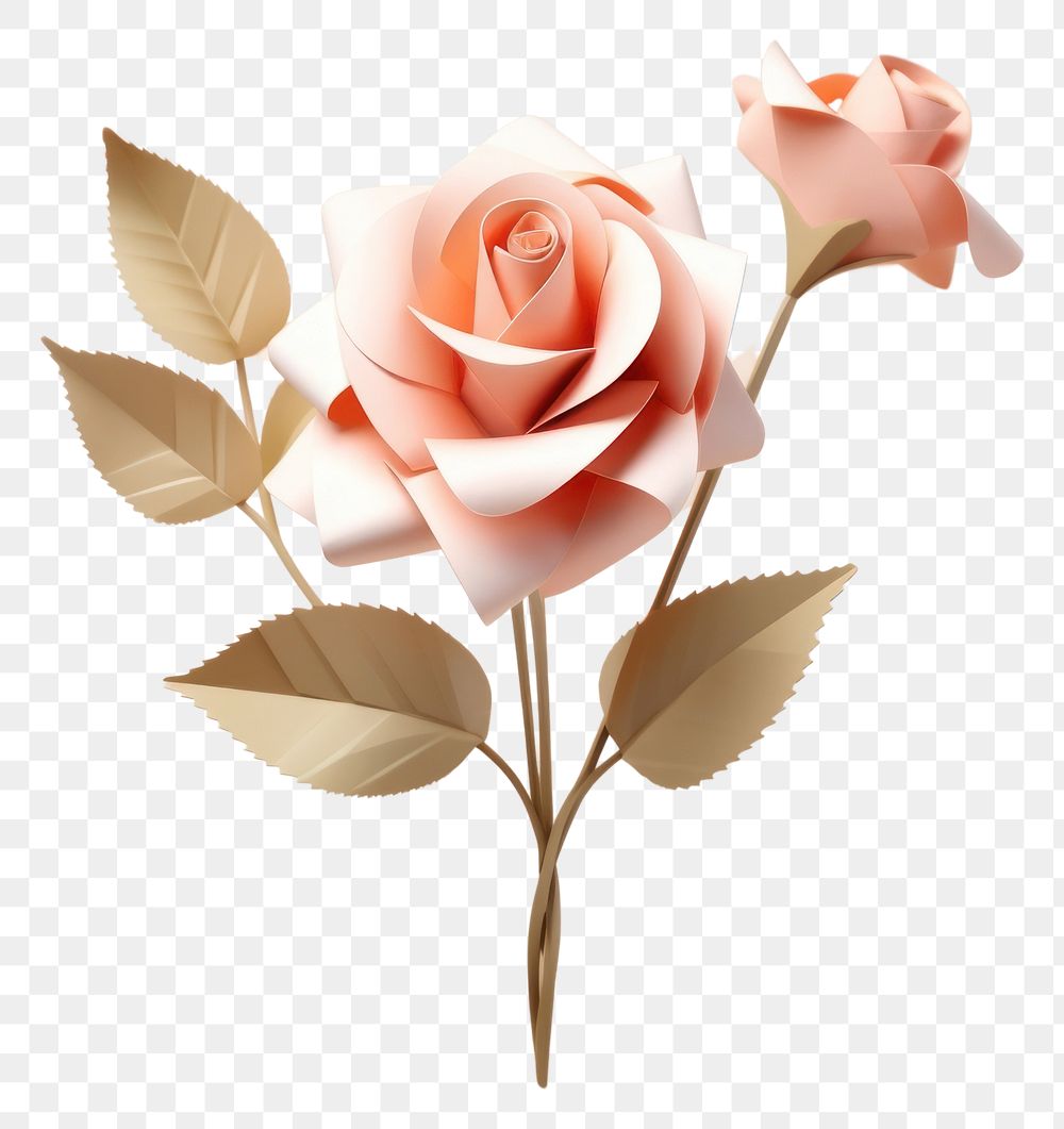 PNG Flower rose plant inflorescence. AI generated Image by rawpixel.
