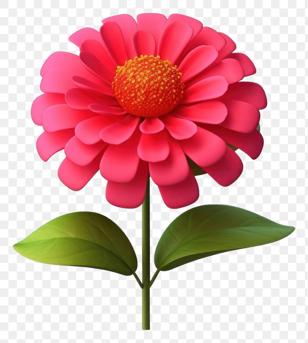 PNG Flower dahlia petal plant. | Free PNG - rawpixel