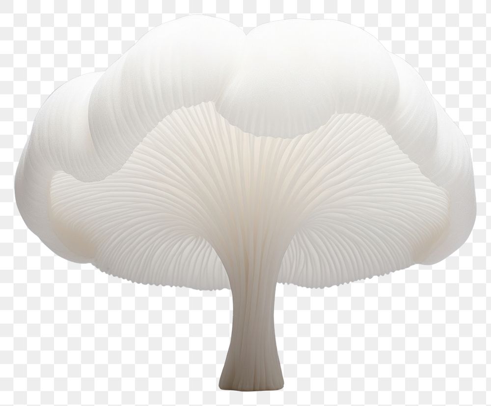 PNG Mushroom fungus plant nature. AI generated Image by rawpixel.