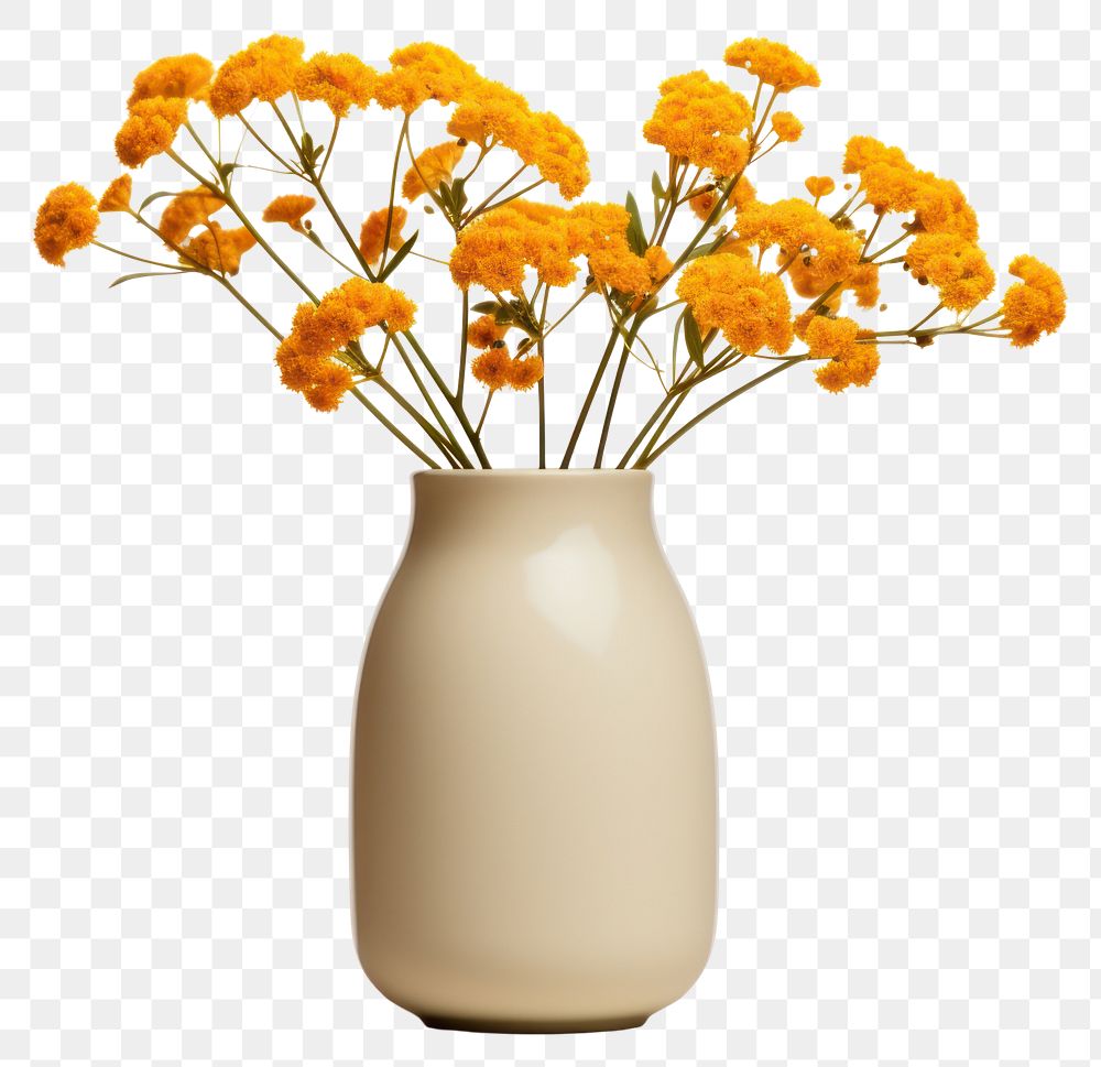 PNG Fall flower bouquet vase plant white background. AI generated Image by rawpixel.