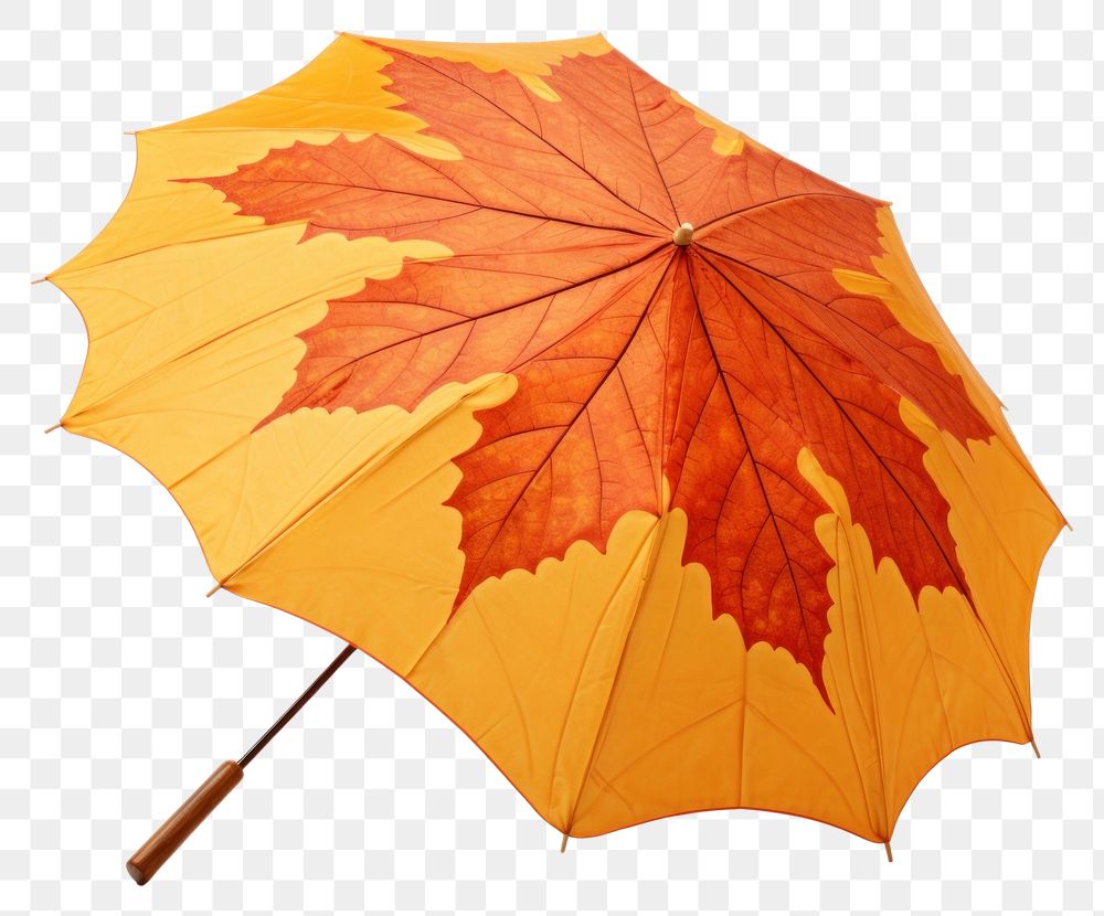 PNG Umbrella leaf pattern maple. AI generated Image by rawpixel.