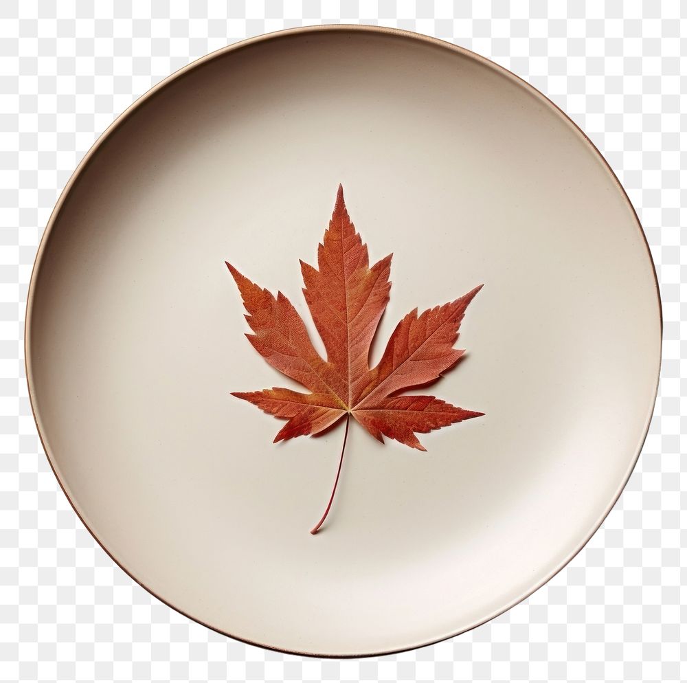 PNG Fall season special dish plate plant leaf. 