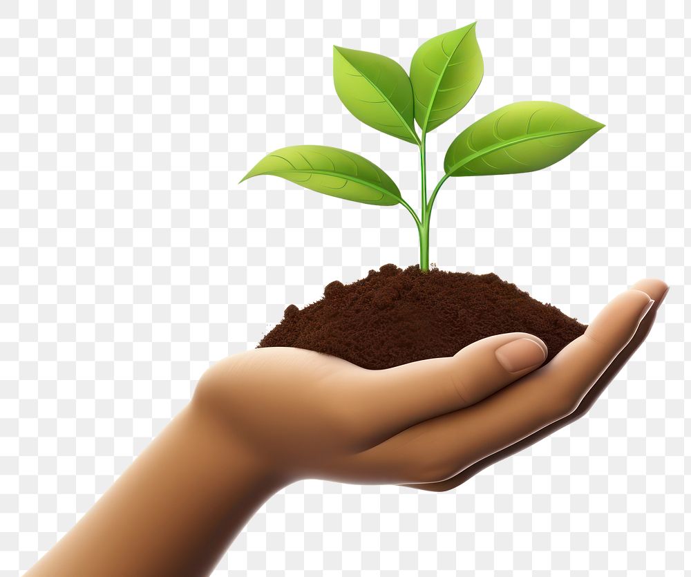 PNG Soil seedling holding plant. AI generated Image by rawpixel.