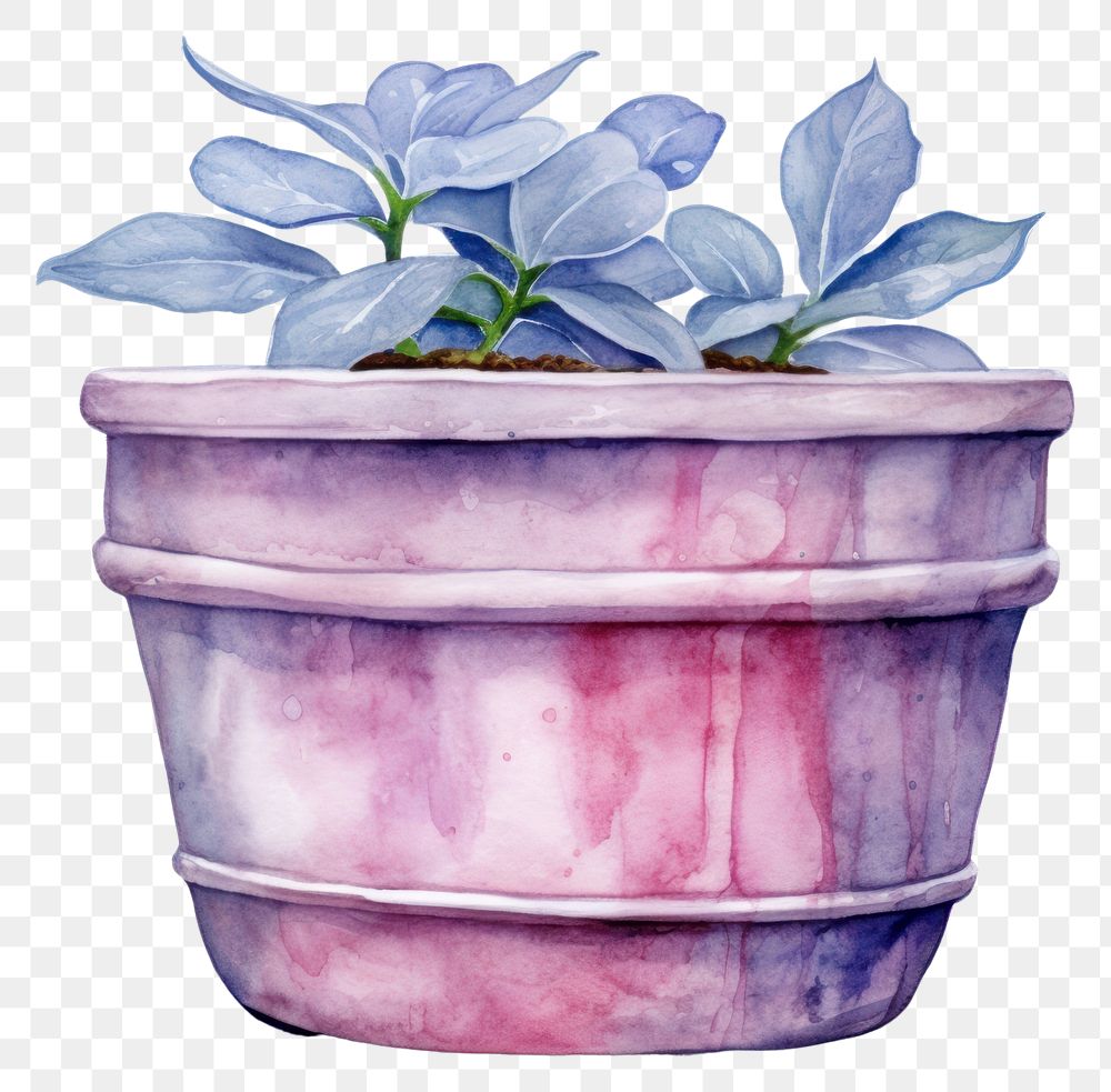 PNG Flowerpot plant leaf houseplant. AI generated Image by rawpixel.