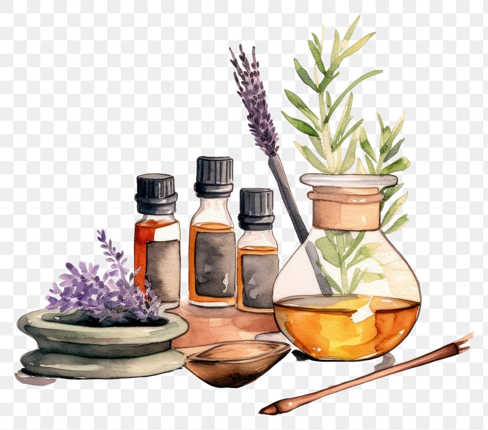 PNG Lavender therapy plant herbs. AI generated Image by rawpixel.
