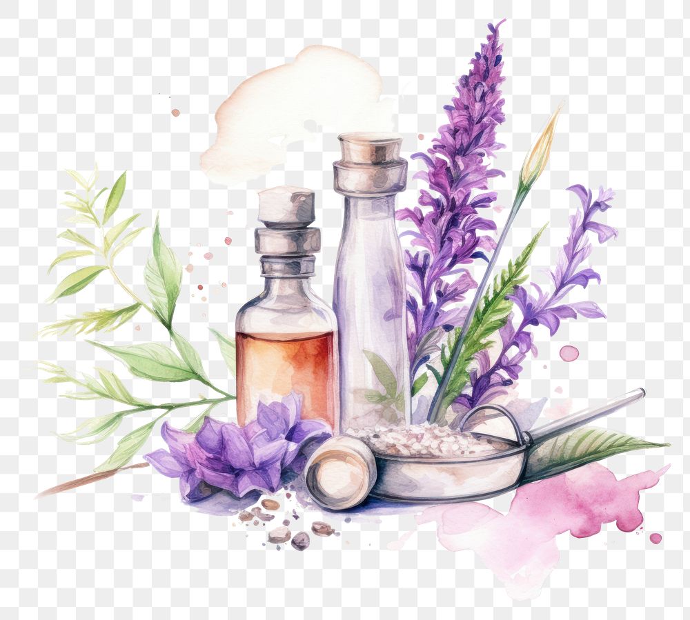 PNG Lavender therapy flower purple. 