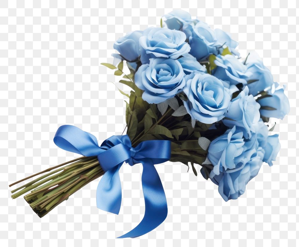 PNG Flower plant rose blue. 