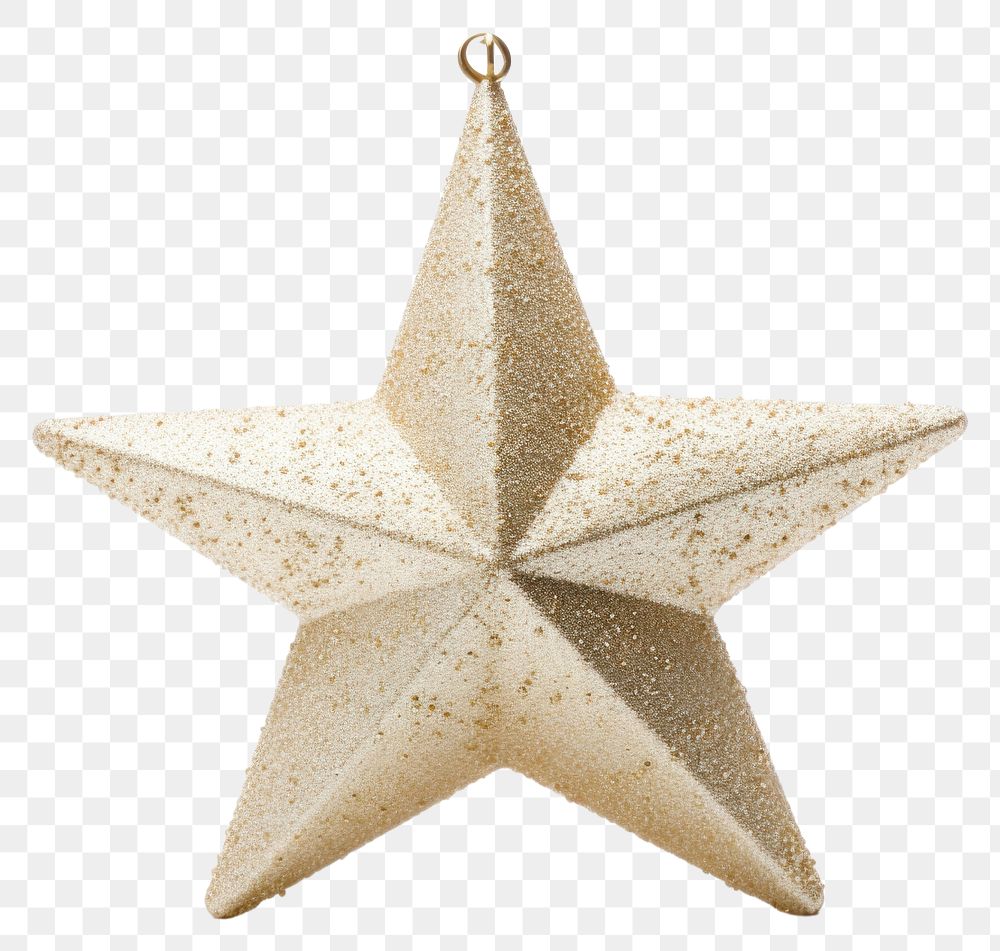 PNG Celebration decoration echinoderm christmas. AI generated Image by rawpixel.