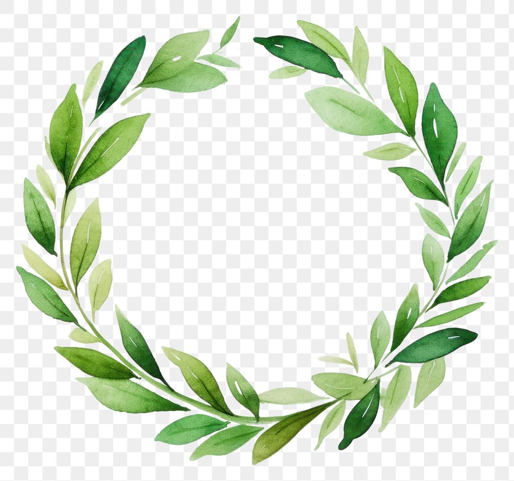 PNG Wreath green plant leaf. AI generated Image by rawpixel.