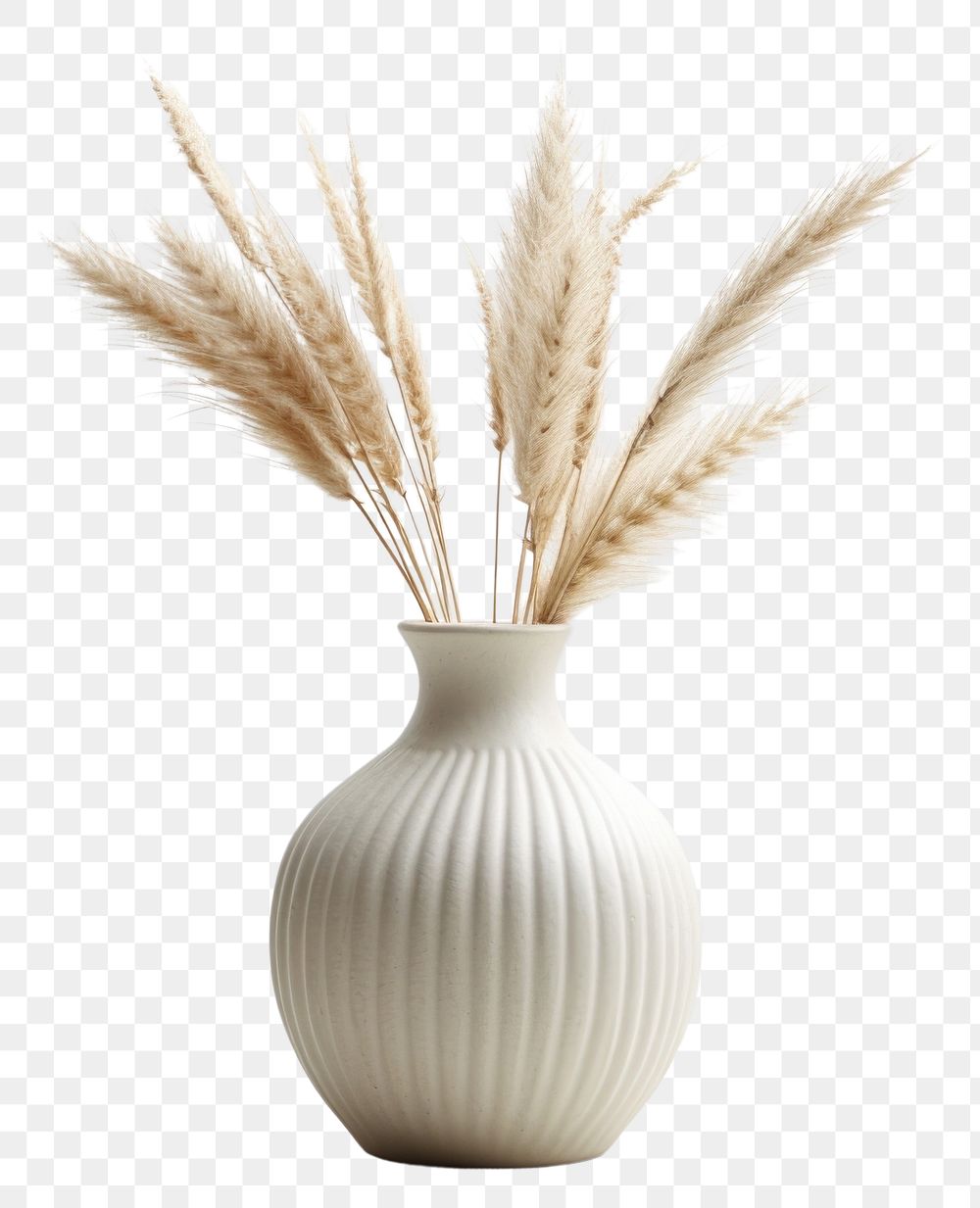 PNG Vase flower wheat plant