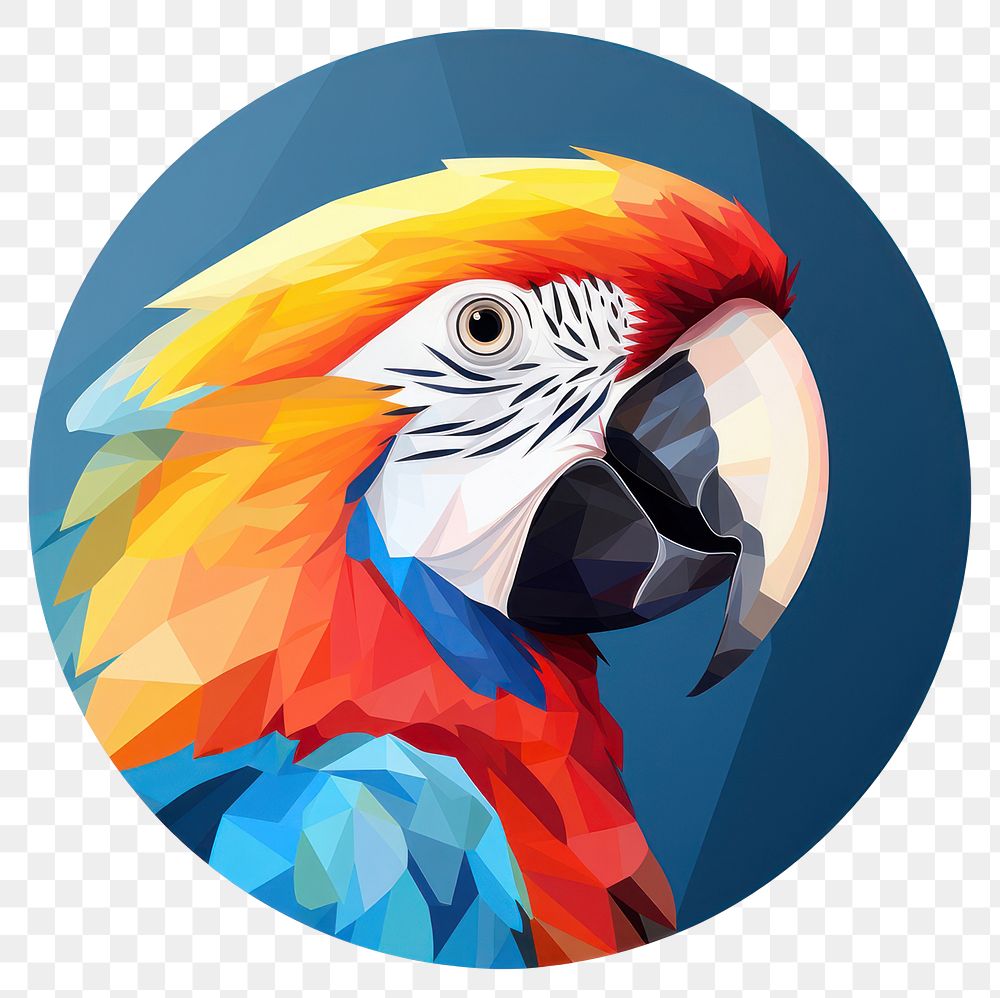 PNG Parrot animal circle bird. AI generated Image by rawpixel.