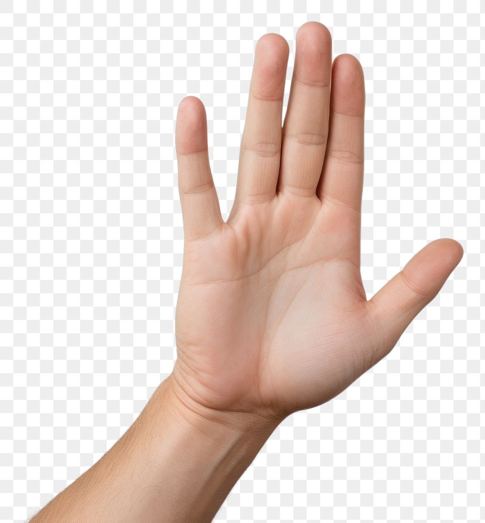 PNG Touching finger hand white background gesturing showing. AI generated Image by rawpixel.