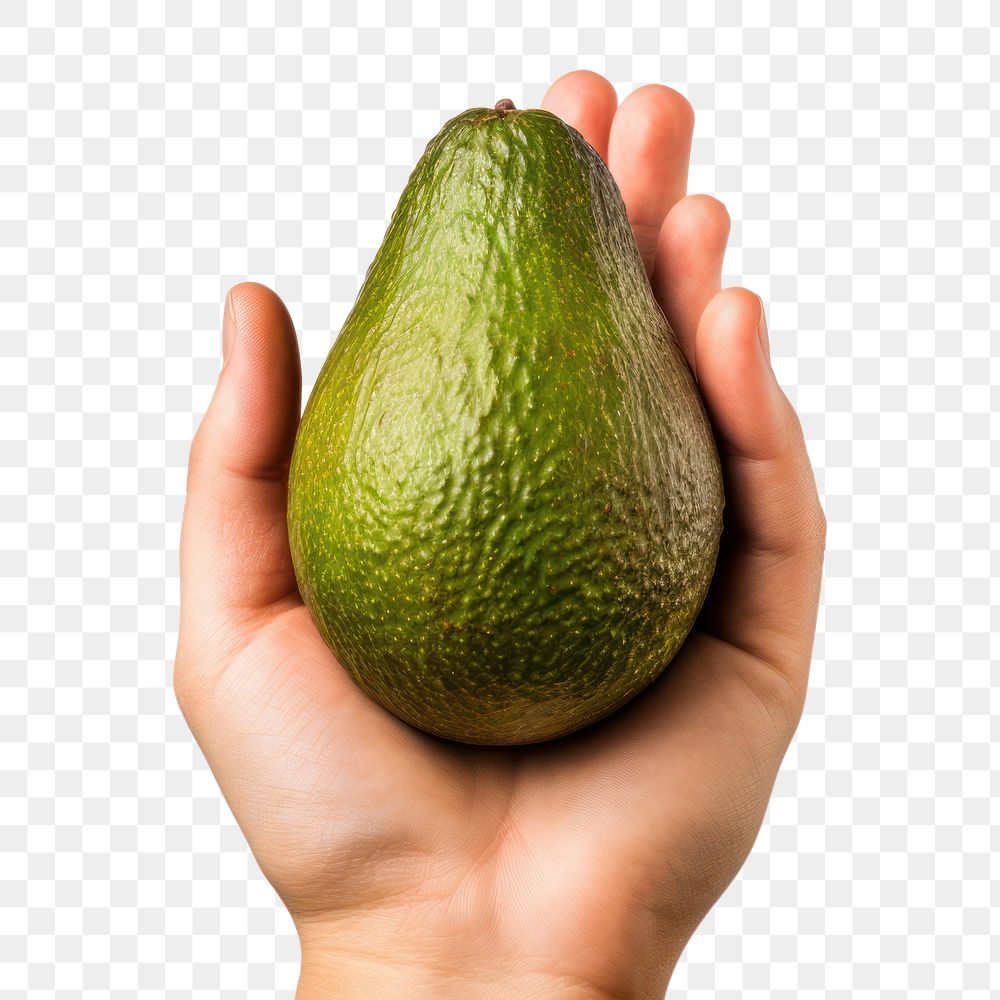 PNG Avocado holding fruit plant. AI generated Image by rawpixel.