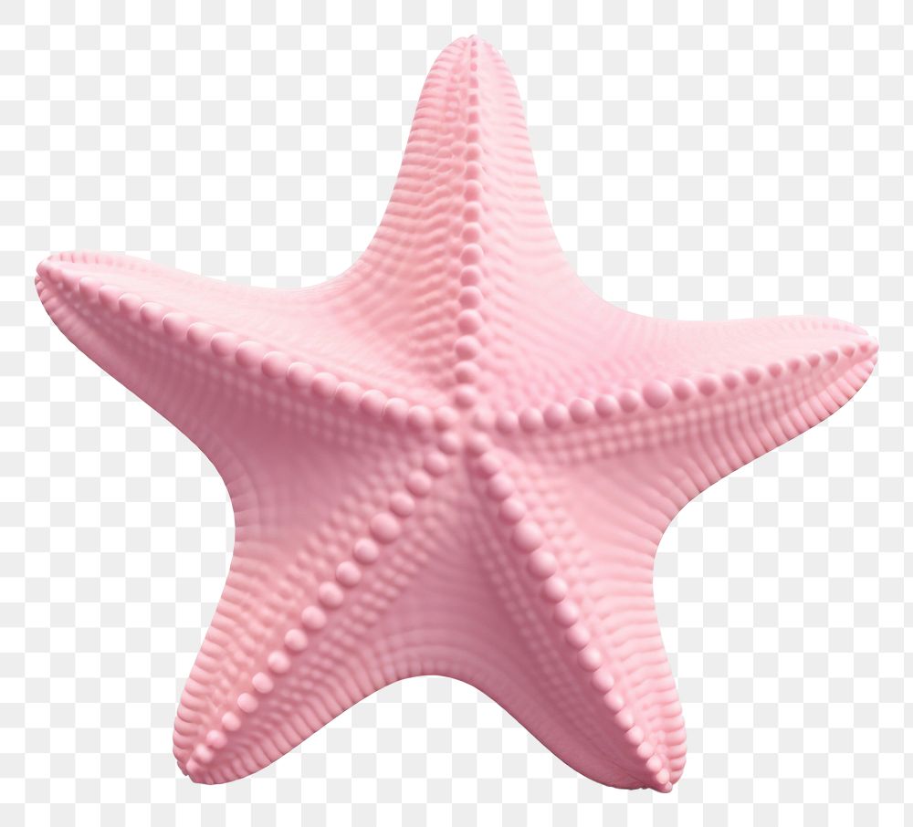 PNG Starfish invertebrate simplicity echinoderm. AI generated Image by rawpixel.