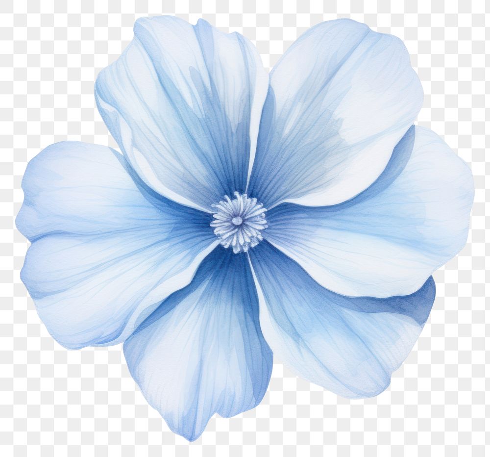 PNG Soft Blue Flower flower nature petal. AI generated Image by rawpixel.