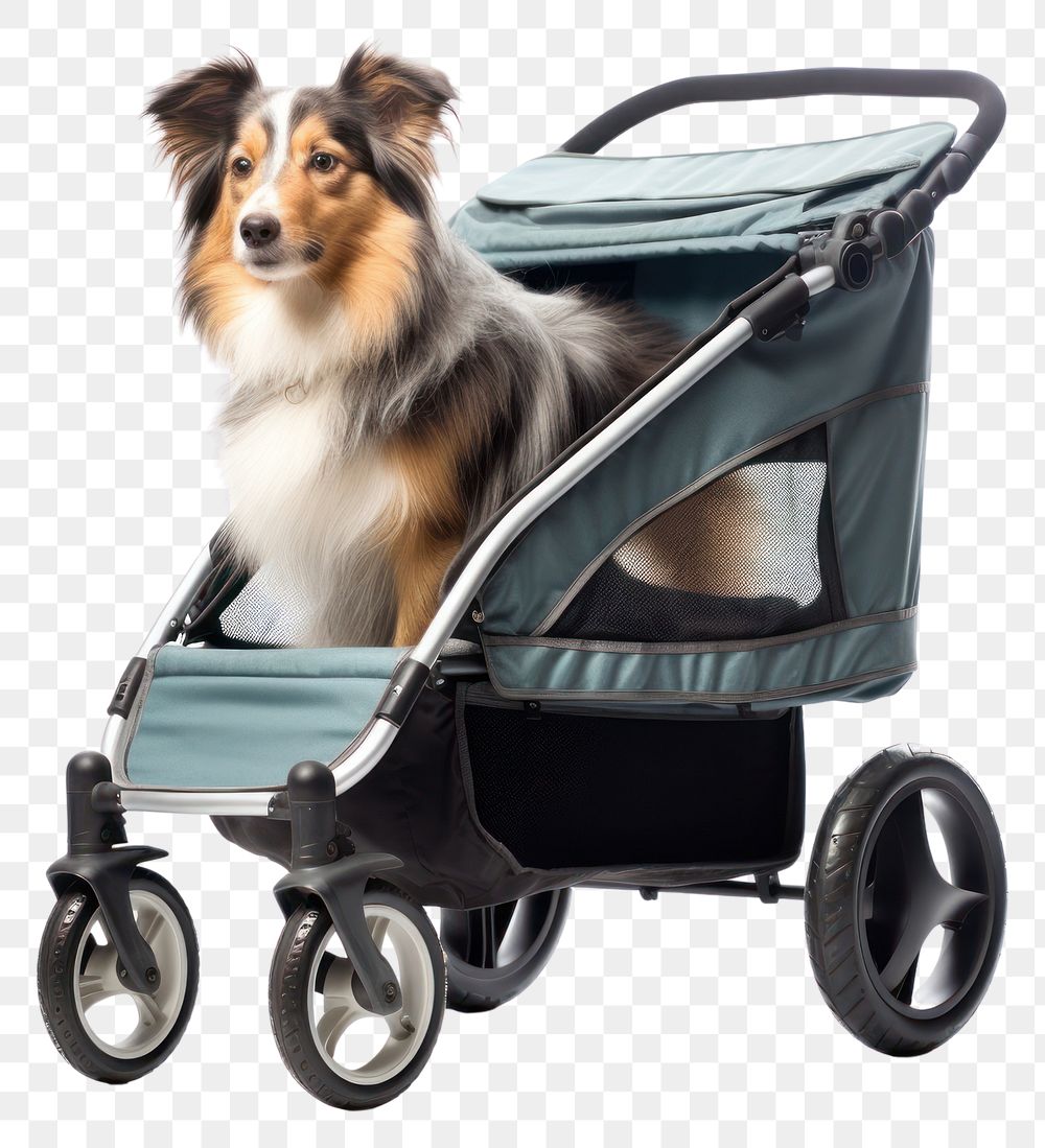 PNG Dog stroller vehicle mammal. AI generated Image by rawpixel.