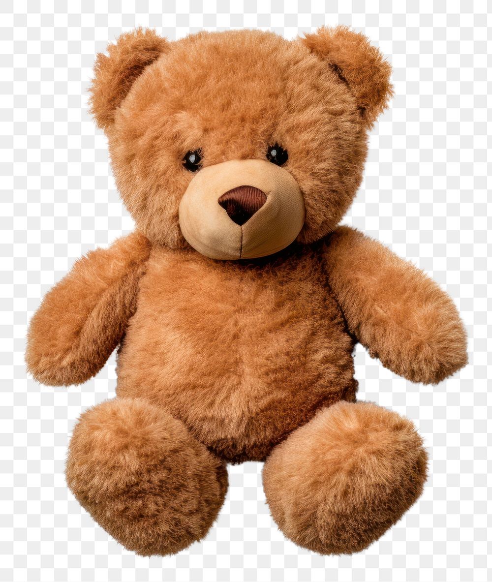 PNG Teddy bear plush toy  