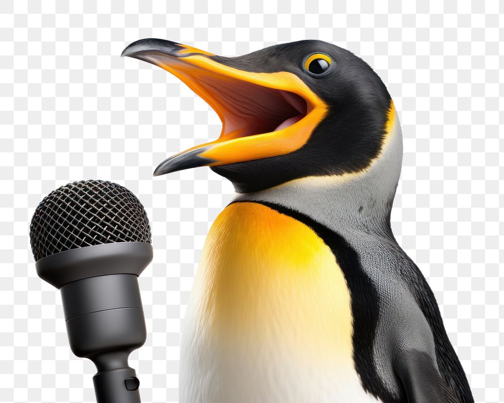 PNG Microphone penguin animal beak. AI generated Image by rawpixel.