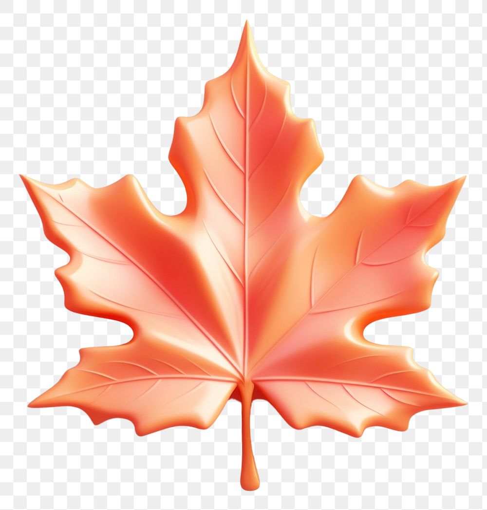 PNG Maple leaf autumn plant. AI generated Image by rawpixel.