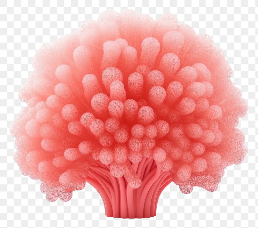 PNG Plant food freshness jellyfish. AI generated Image by rawpixel.