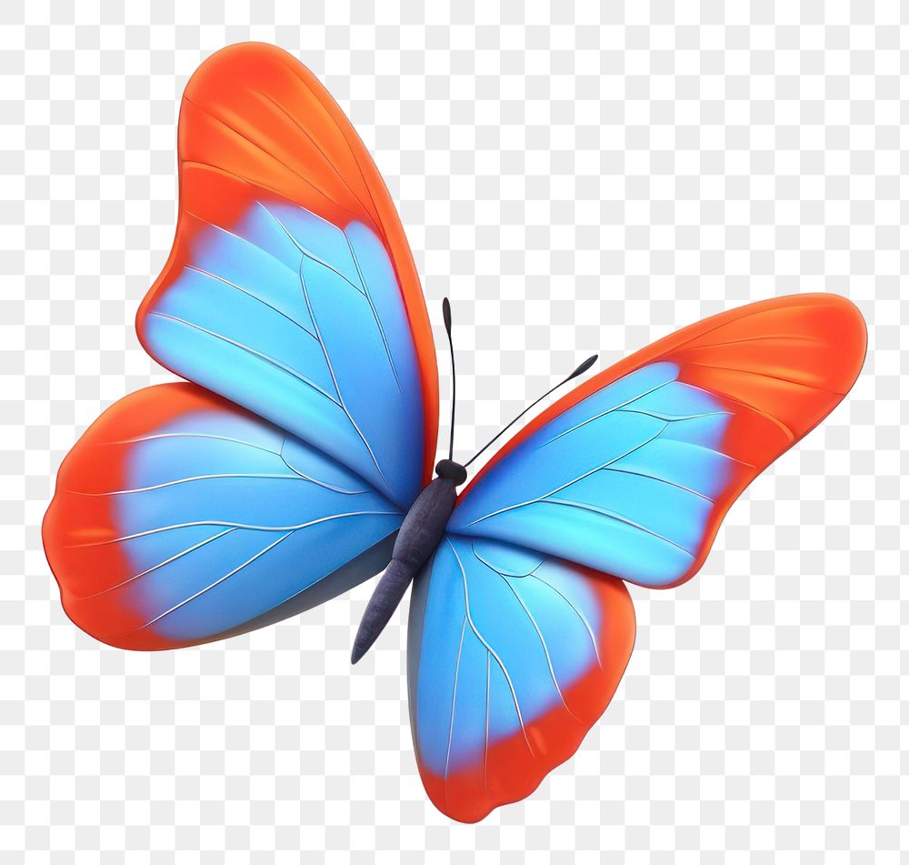 Butterfly Images  Free HD Backgrounds, PNGs, Vectors & Illustrations -  rawpixel